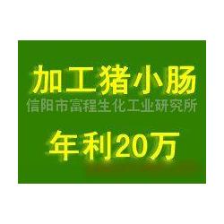 信阳市进出口代理与动漫游戏开发 融合供应链与创意产业的商业机遇