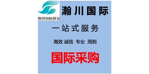 湖北进出口代理办理与数据处理服务详解