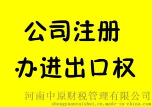 河南进出口权代理及公司注册服务详解
